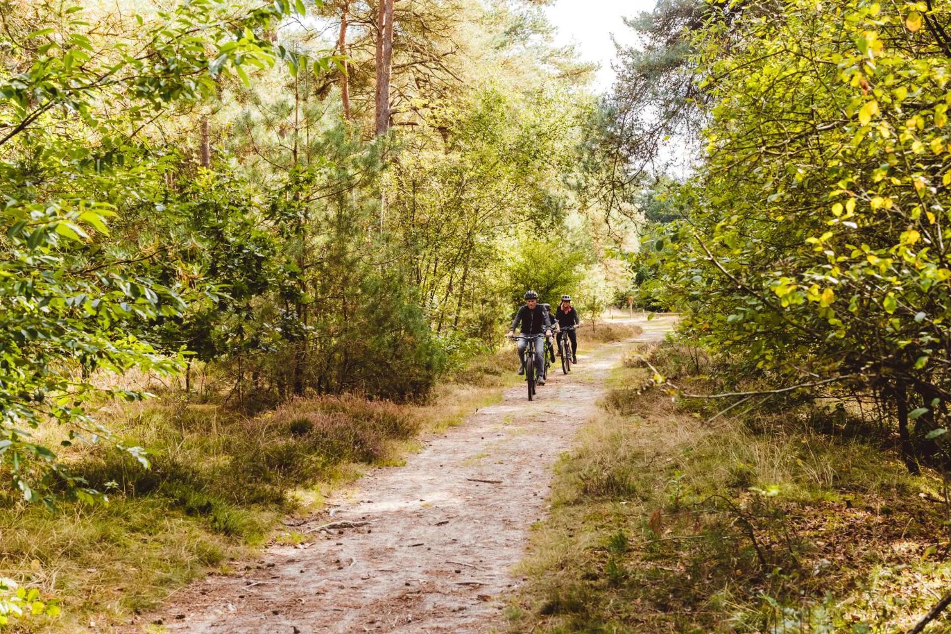 Landgoed Het Grote Zand Hooghalen Kültér fotó